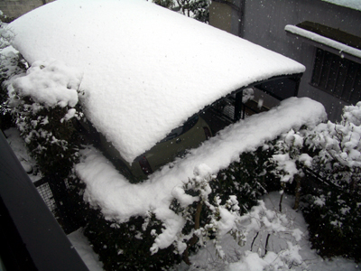 snow060121.jpg